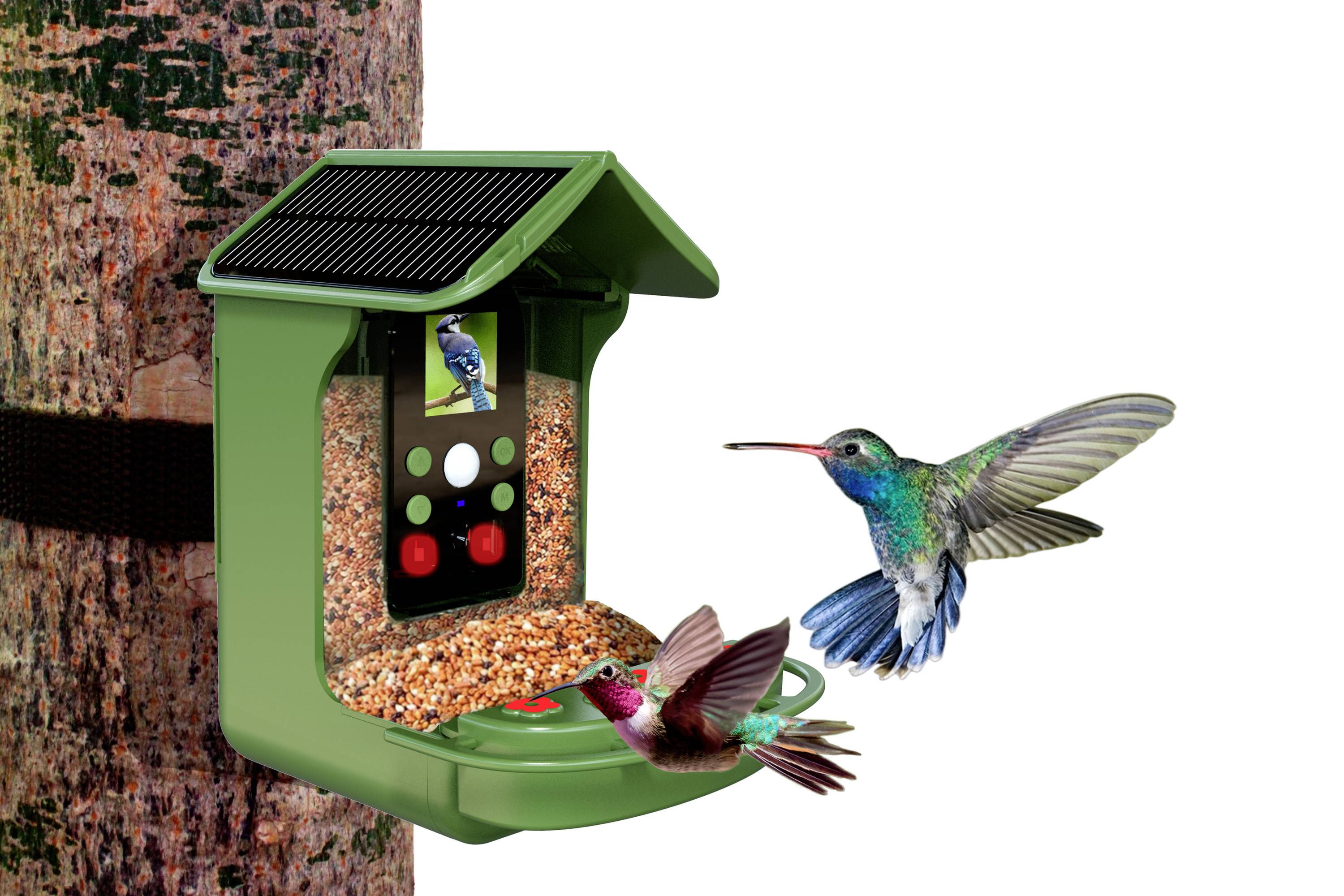 Denver BFC-1200 Wildlife camera 12 MP Food dispenser Green