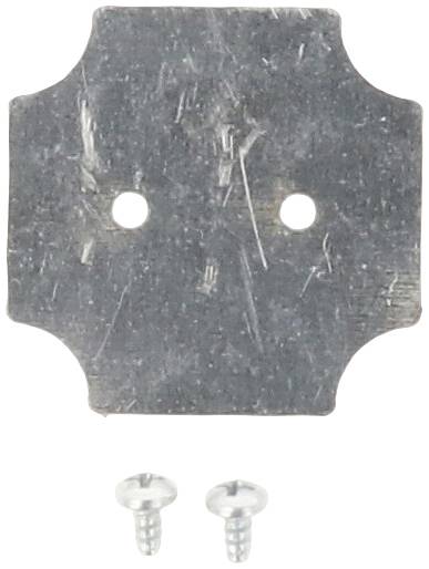 Metal plate with rounded corners and two screw holes, with two small metal screws beneath it.