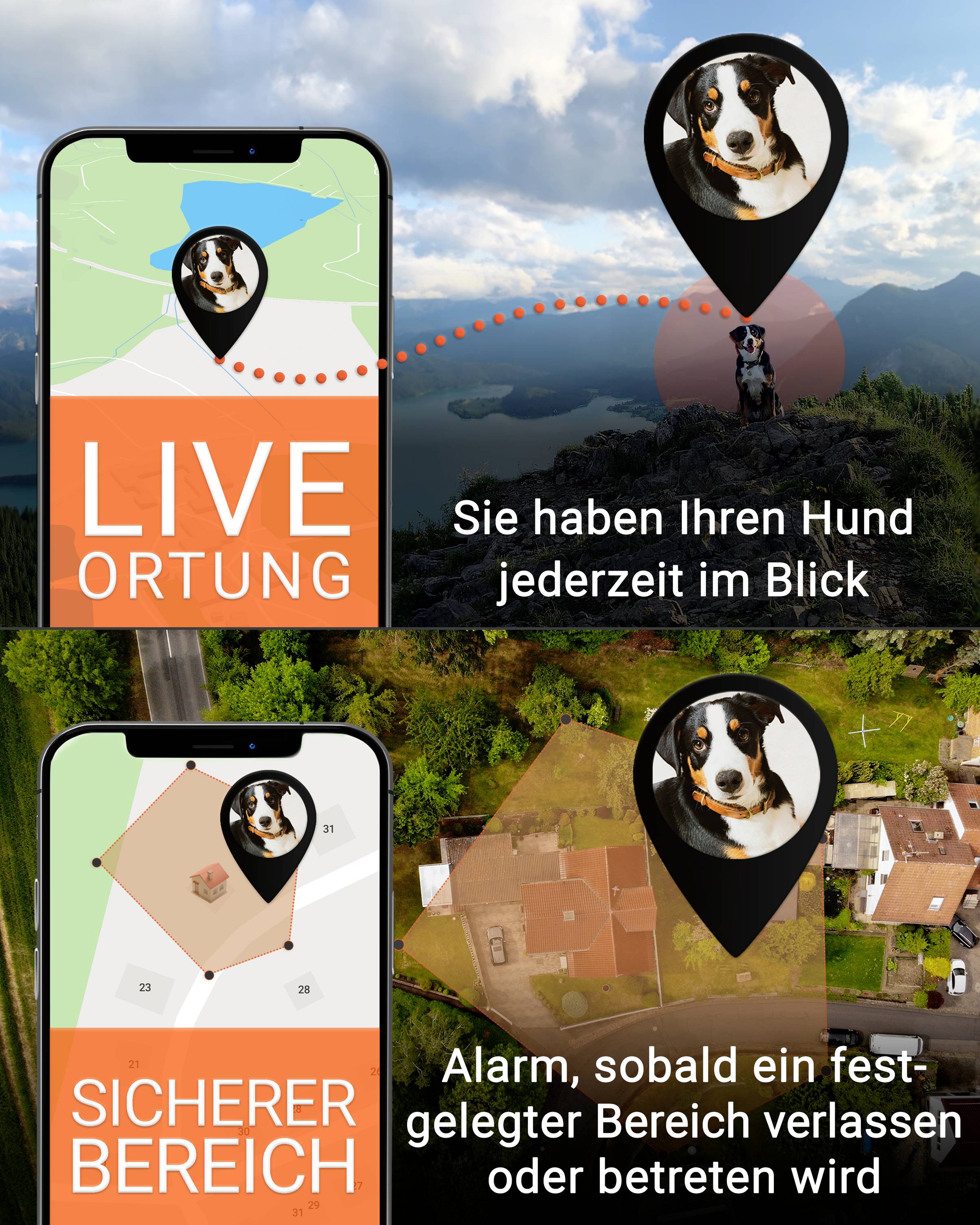 PAJ GPS PET Finder 4G GSM tracker Pet tracker 1 pc(s)