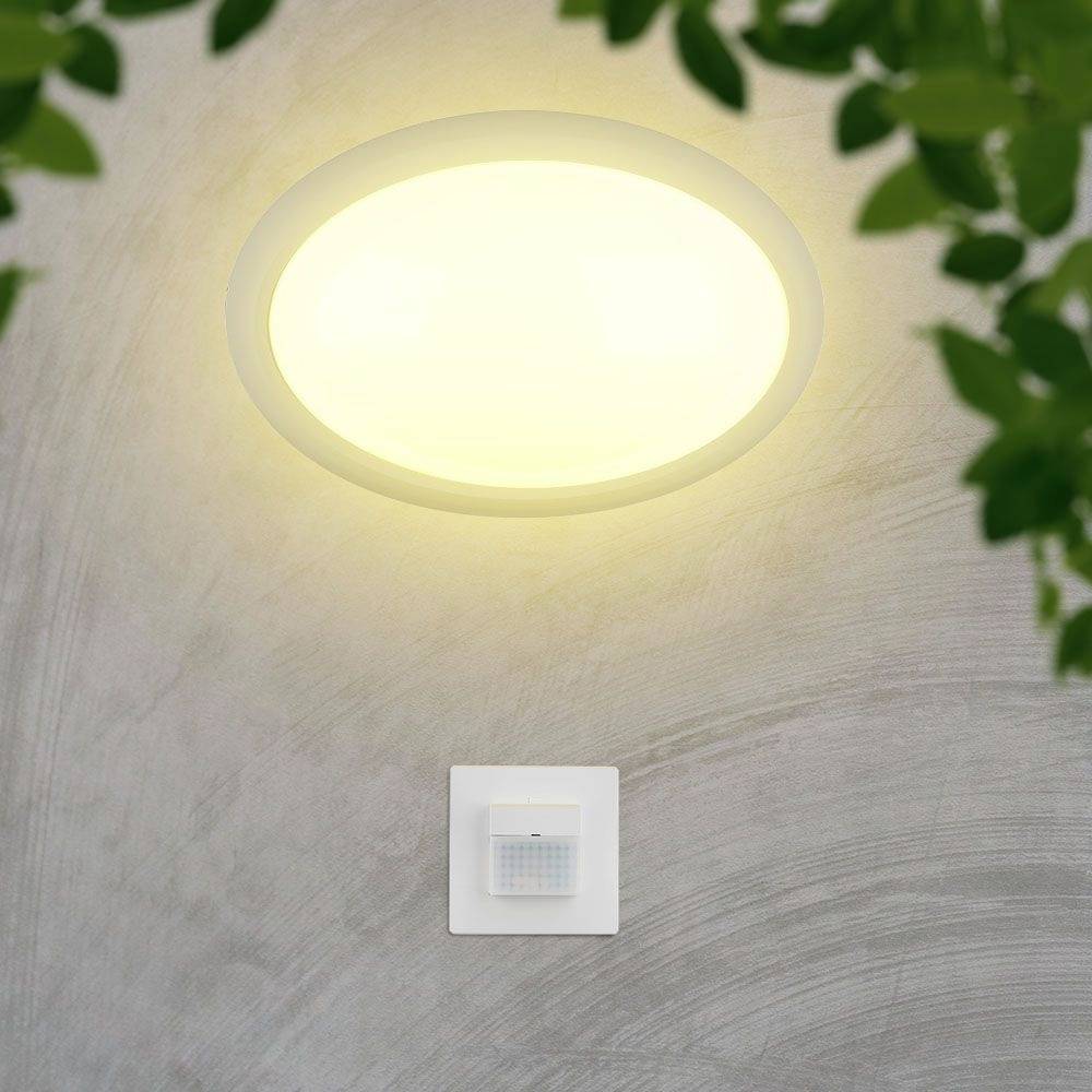 A round ceiling light illuminates a concrete wall. Beneath it is a square light switch. Leaves hang near the edges of the image.