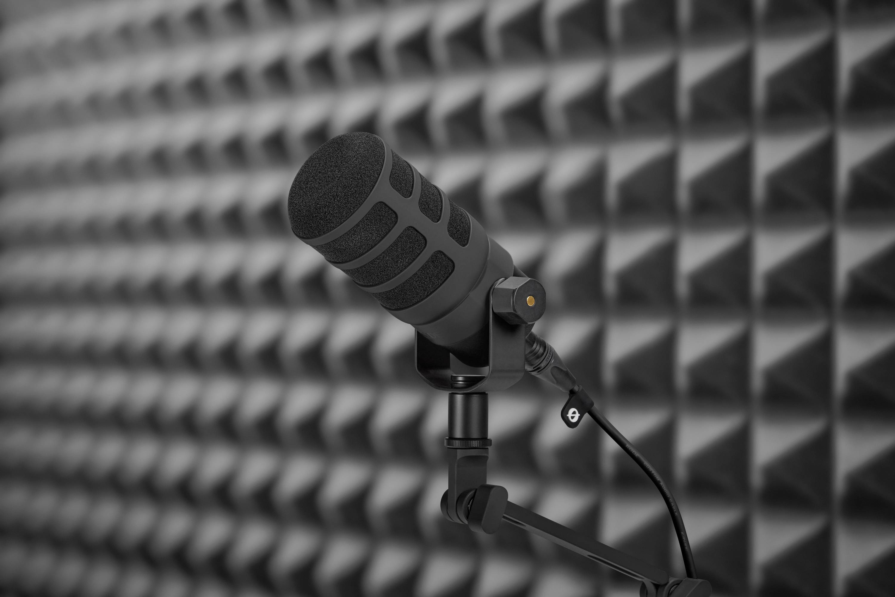 Rode WS14 Pop filter Diameter:72 mm