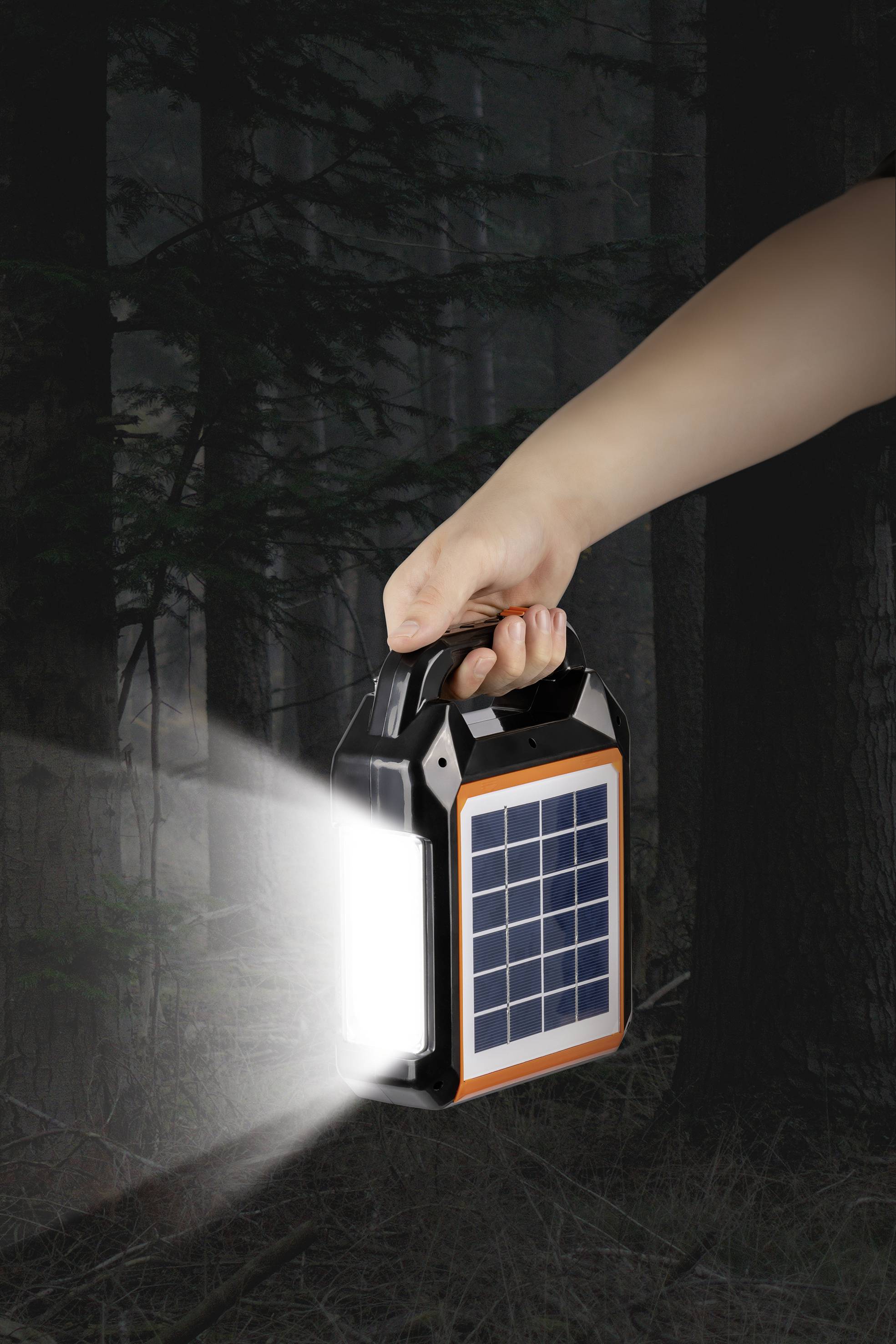 A hand holds a solar lamp that illuminates the dark forest. The lamp has a solar panel on its side and casts a bright beam of light.