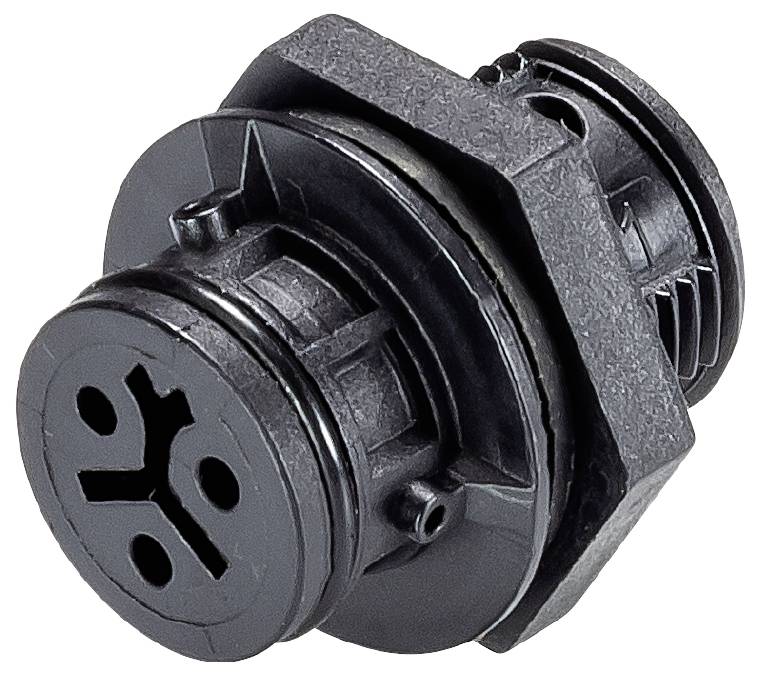 Wieland Electric 4L.021.4043.1 Appliance connector