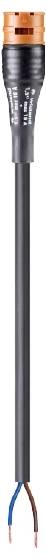 Wieland Electric 96.222.3037.4 Cable Black