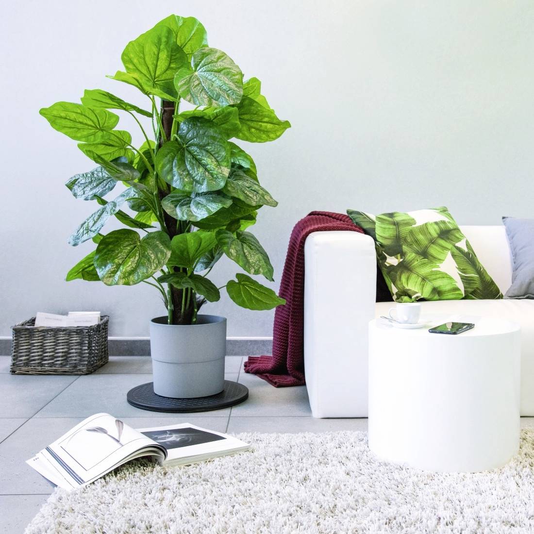 A living room with a large green plant next to a white sofa. A table with a smartphone and an open magazine are visible.