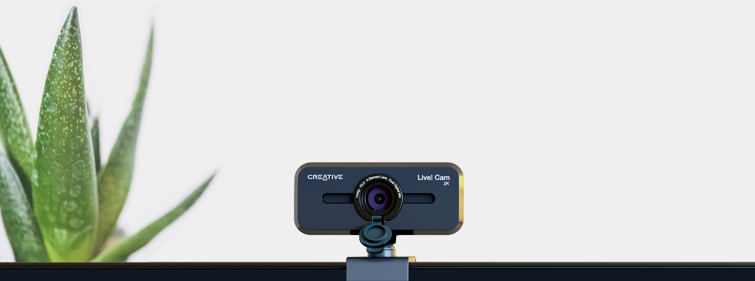 Webcam with a lens in the centre and a microphone, set against a blurred background with a green, pointed plant on the left.