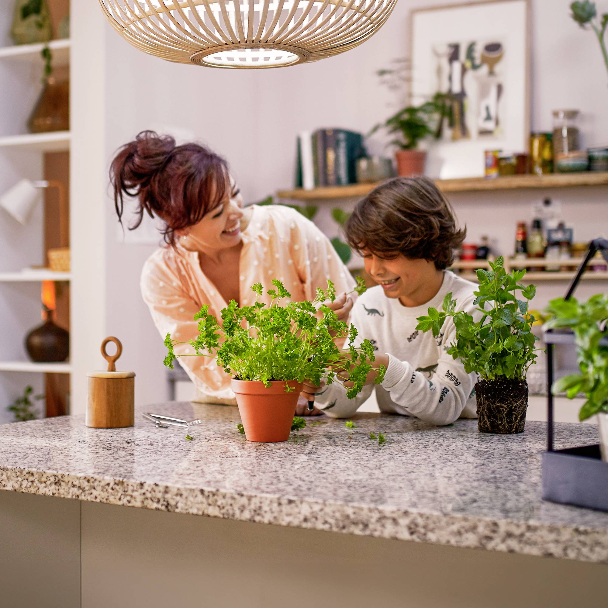 A woman and a child are standing together in a kitchen, looking at a plant positioned on a granite worktop.