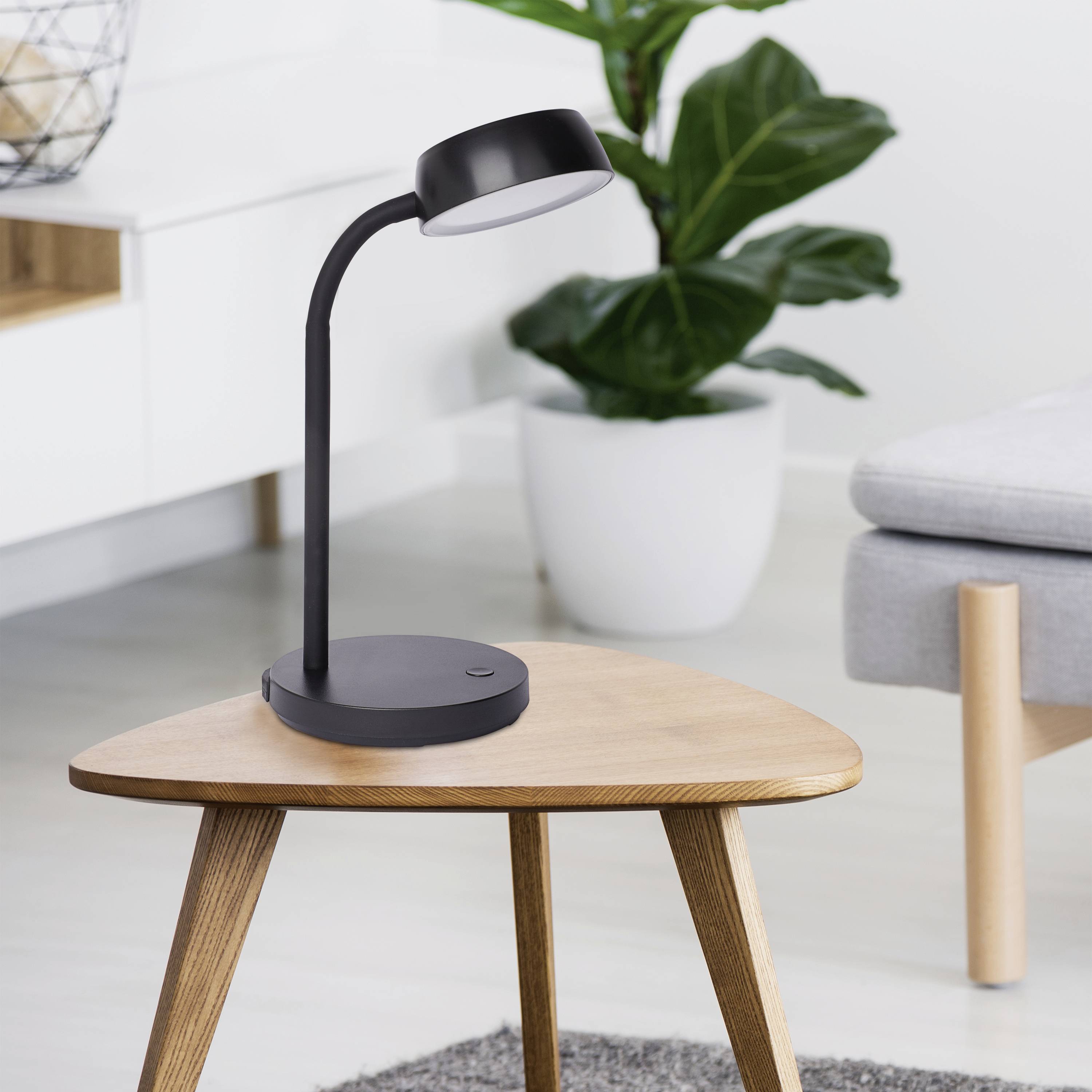 Black table lamp on a small wooden table, beside a grey sofa and large potted plant in a modern living room.
