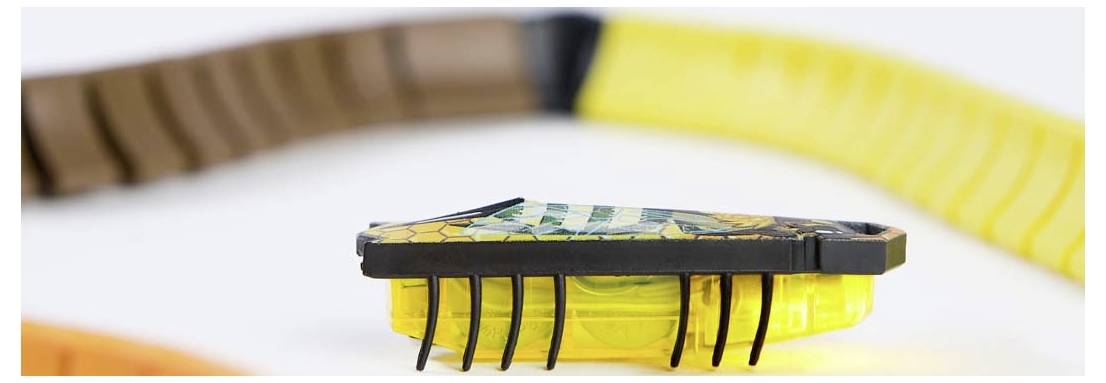 HexBots Nano Starter Toy robot