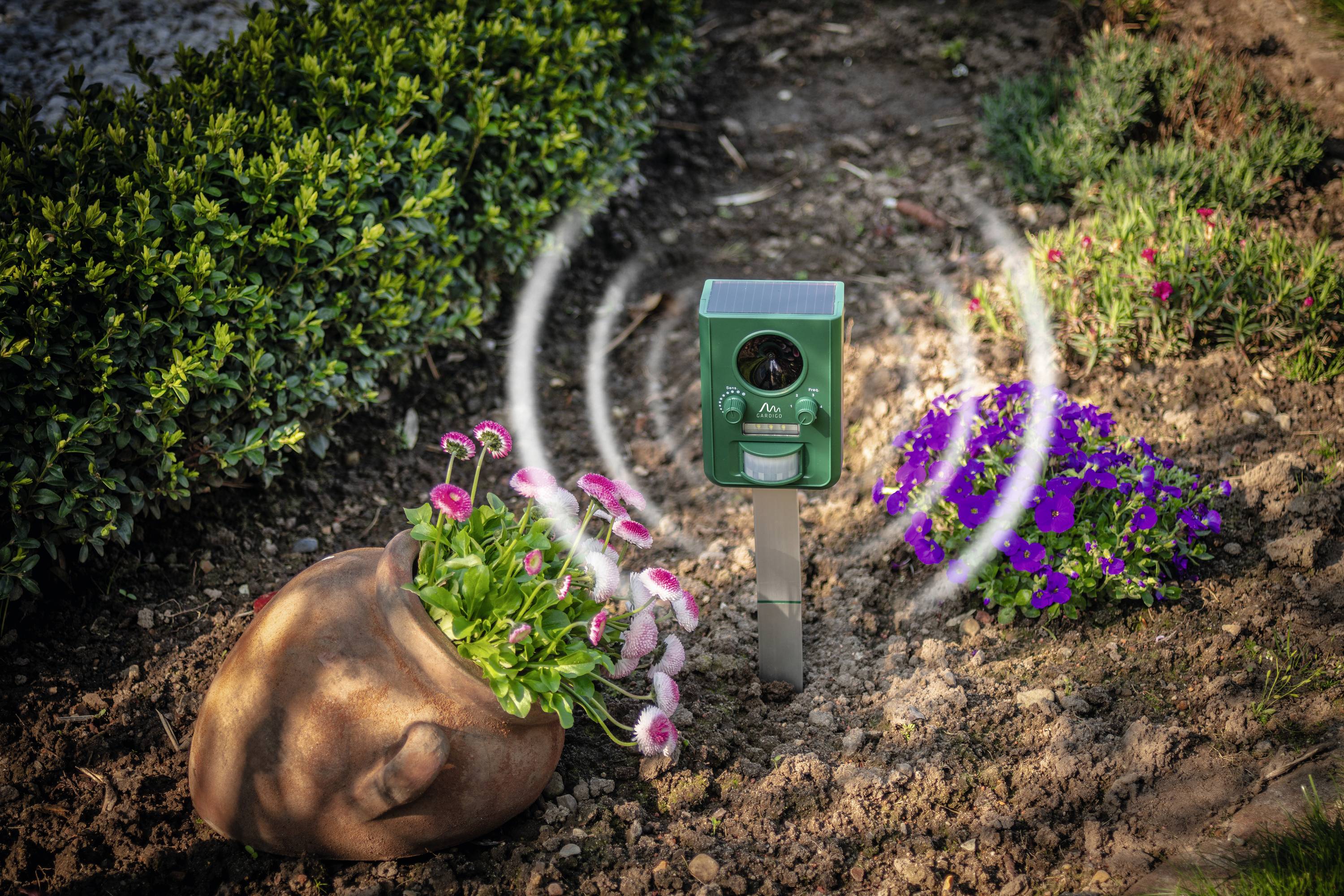 A green ultrasonic animal deterrent device in the garden, surrounded by flowers. Device emits sound waves to deter animals.
