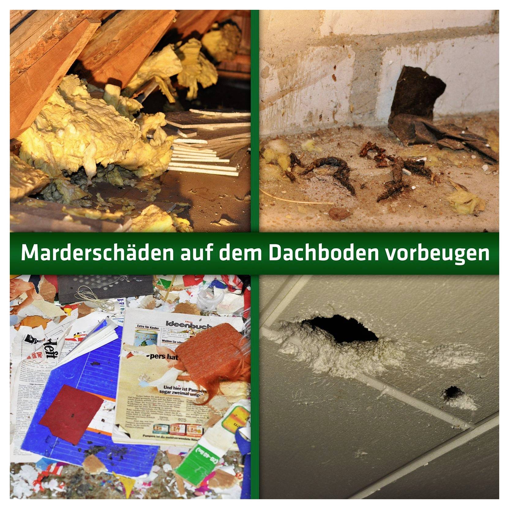 Gardigo 60036INT Car animal repeller 1 pc(s)