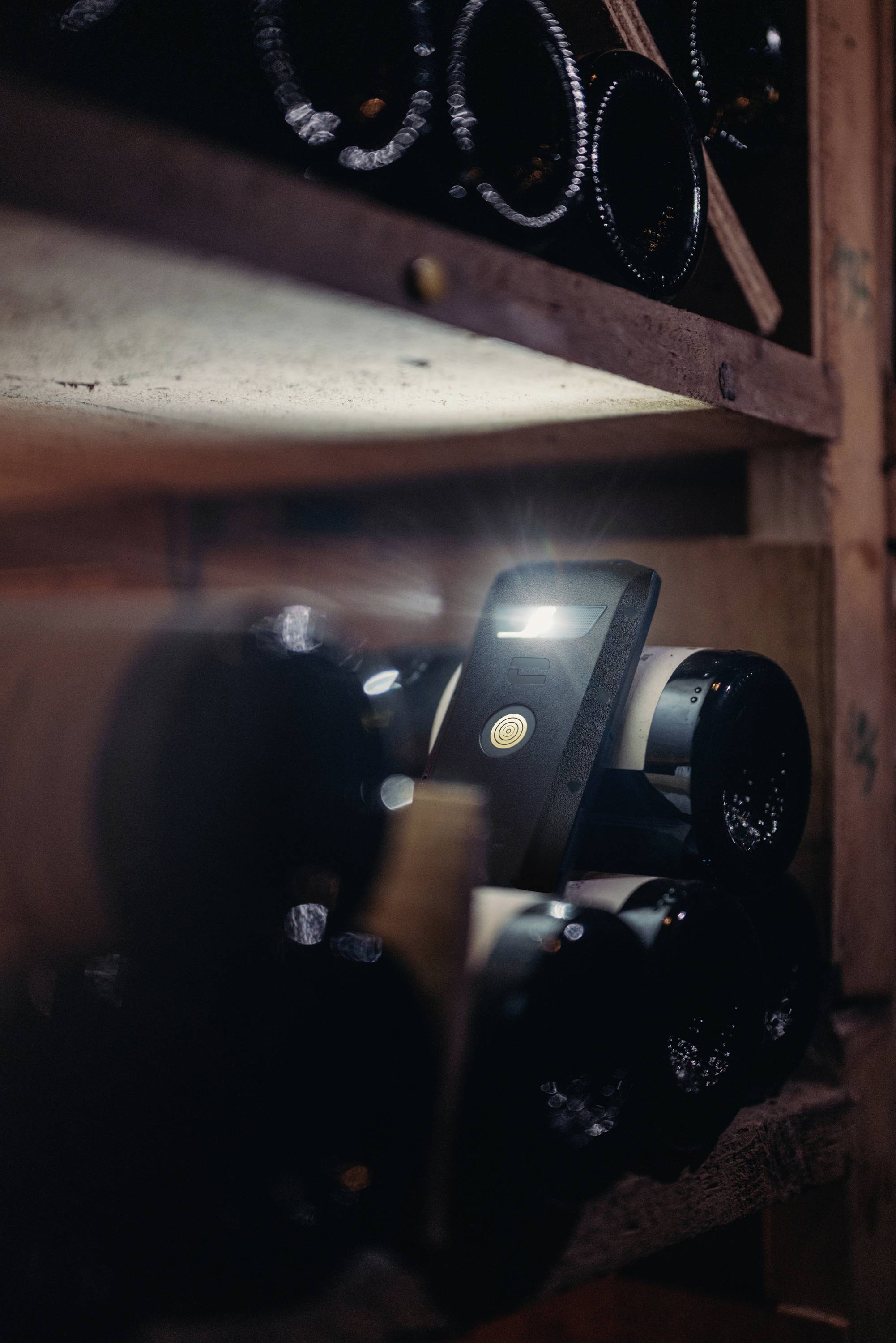 Wine bottles on a dark cellar shelf with a single bottle illuminated in the foreground by a lamp.
