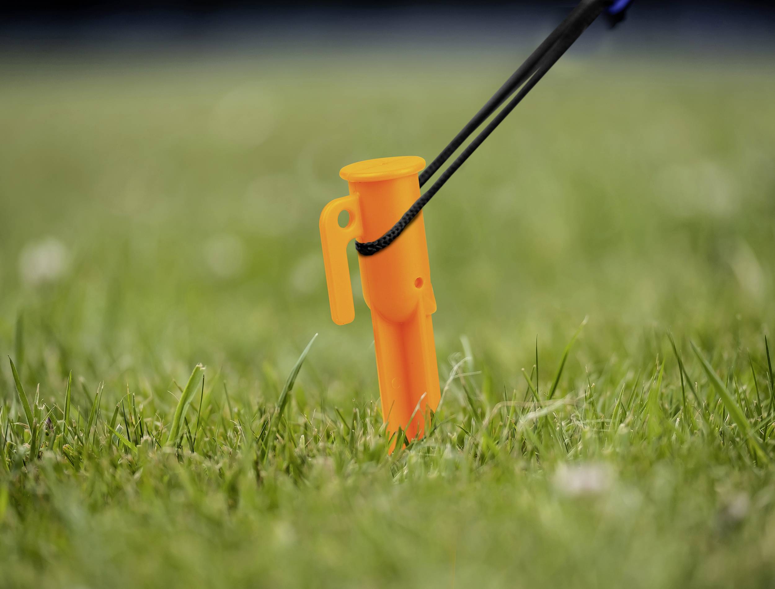 An orange herring is nestled in the grass, held by a black rope.