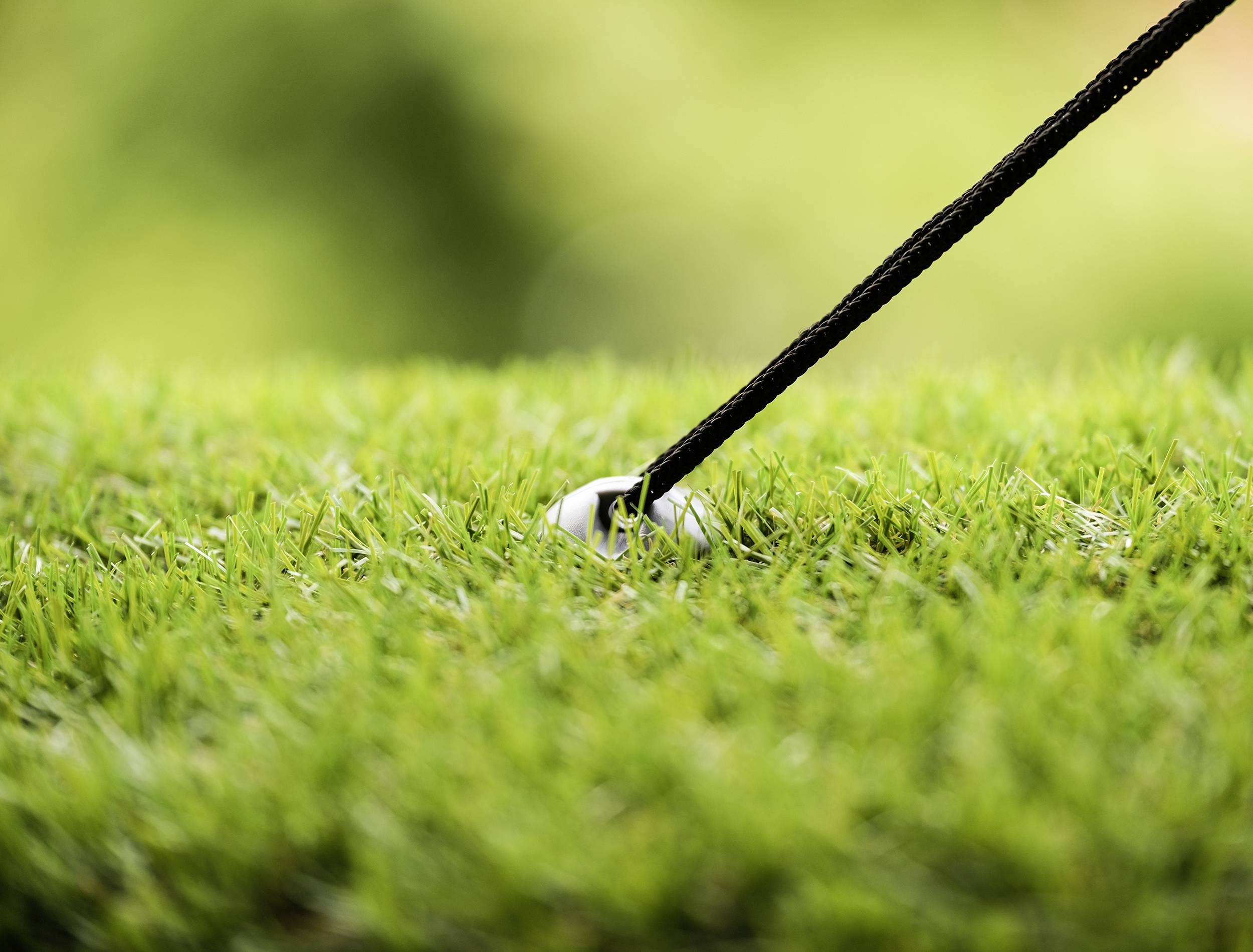 Golf club meets a golf ball on a well-maintained lawn. The focus is on the movement of the club just before the strike.
