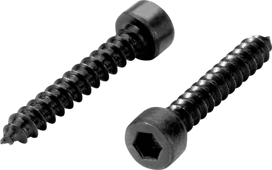 Two black wooden screws with hexagonal socket heads, positioned diagonally to each other, on a white background.