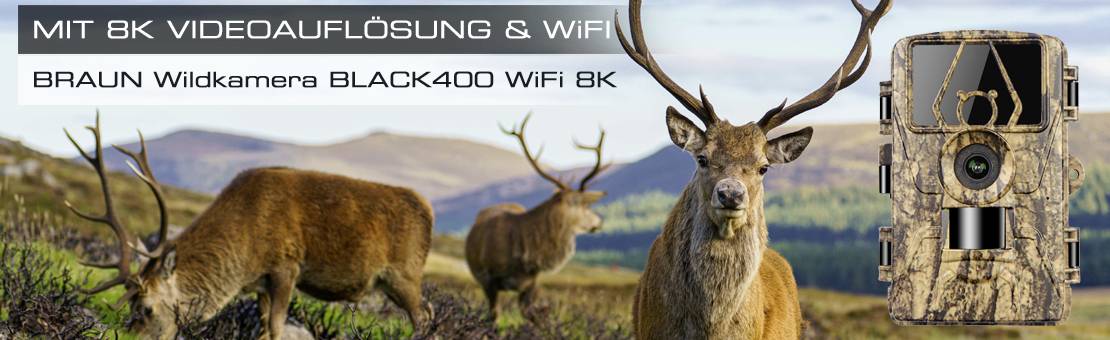 Braun Phototechnik Scouting Cam BLACK400 WiFi 8K Wildlife camera Black LEDs, Wi-Fi, Time lapse video Camouflage brown