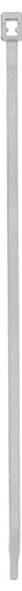 A single white cable tie, long and slender, displayed against a light background.