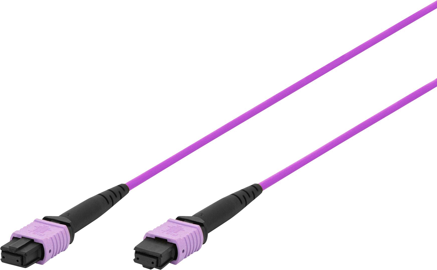 Two purple fibre optic cables with black connectors, running parallel to each other.