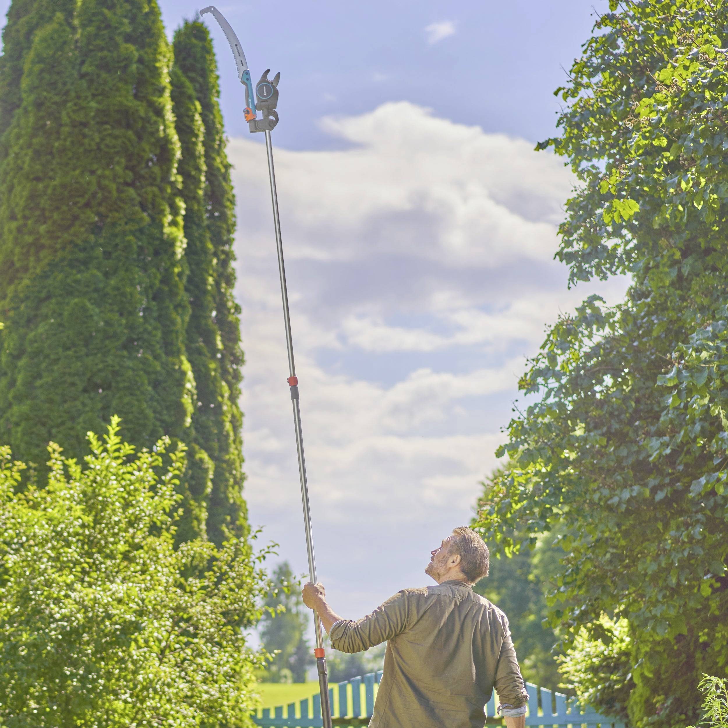 A man is using a long pair of tree pruners to cut branches from a tall, dense tree. Other trees are visible in the background.