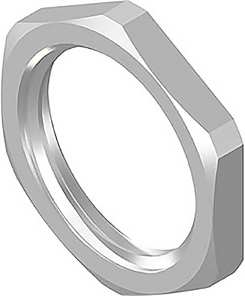 A hexagonal silver metal ring, similar to a nut, rests on a white background.