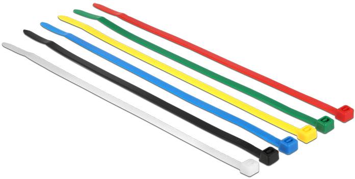 Delock 18626 Cable tie set Black, Blue, Green, Red, Transparent, Yellow 100 pc(s)