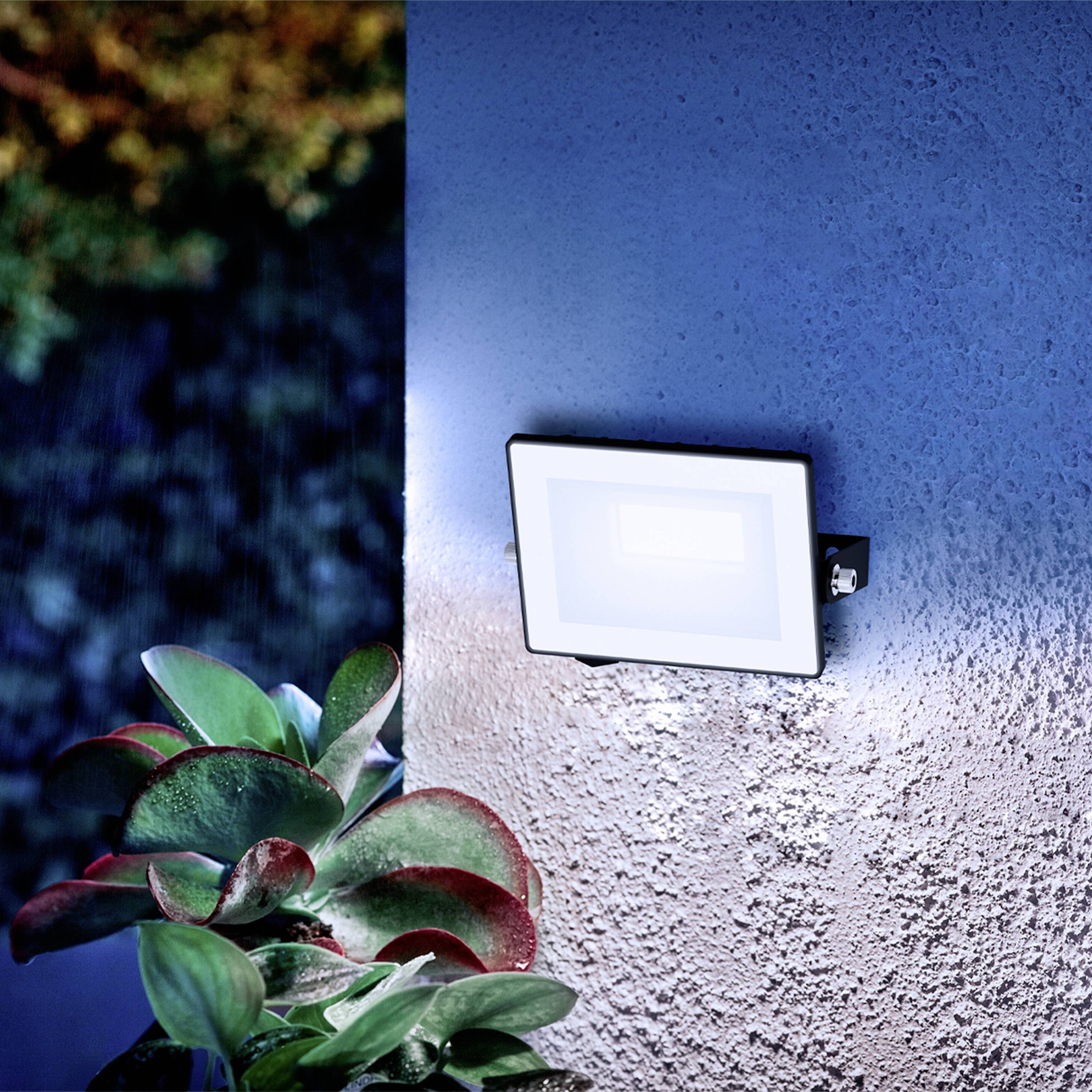 Philips LED Lois 929004641501 LED outdoor floodlight 10 W Colours (LEDs): Cool white