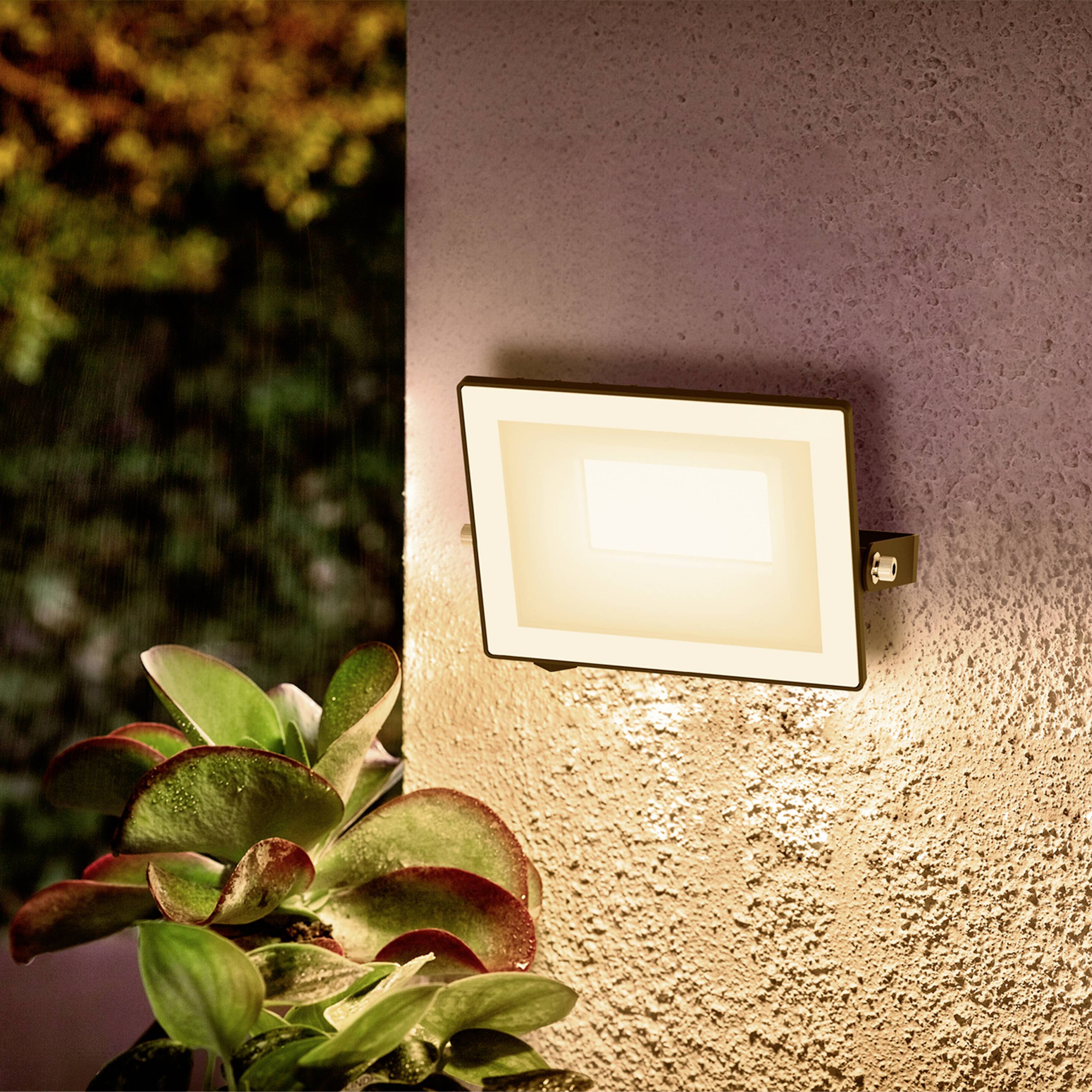 Philips LED Lois 929004641601 LED outdoor floodlight 20 W Colours (LEDs): Warm white