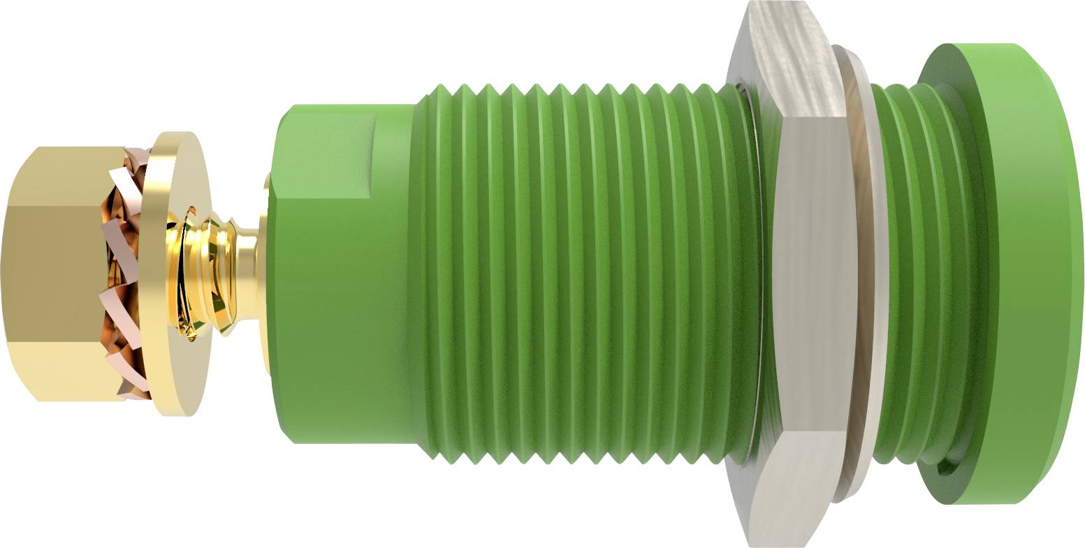 Schützinger DI SEB 9424 Au / GN Safety socket straight Green 1 pc(s)
