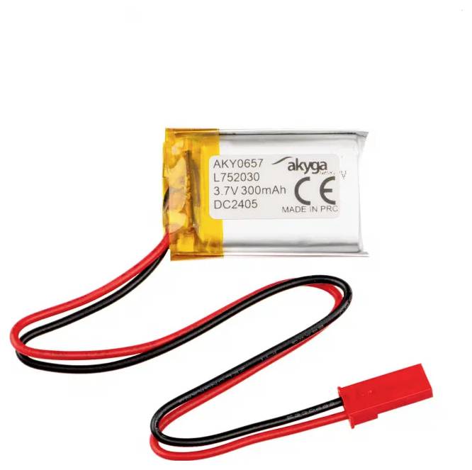 'Small lithium-polymer battery with inscription 
