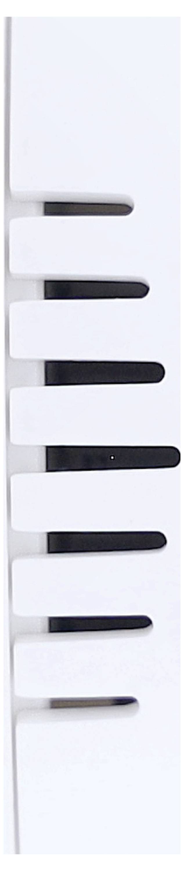 A section of a white computer keyboard with black keys.
