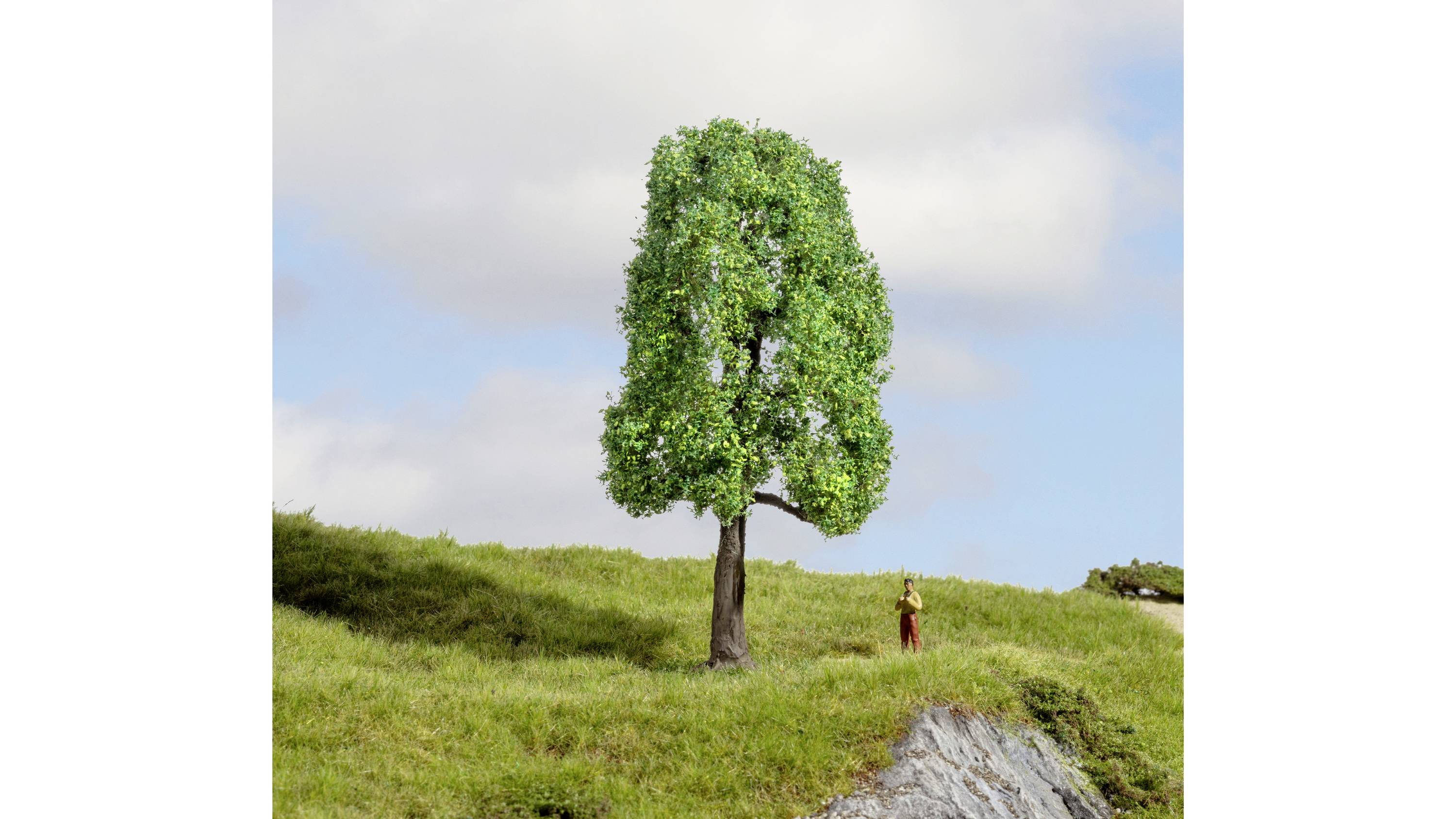 A large green tree canopy on a meadow with a small person beside it, illustrating the difference in scale.