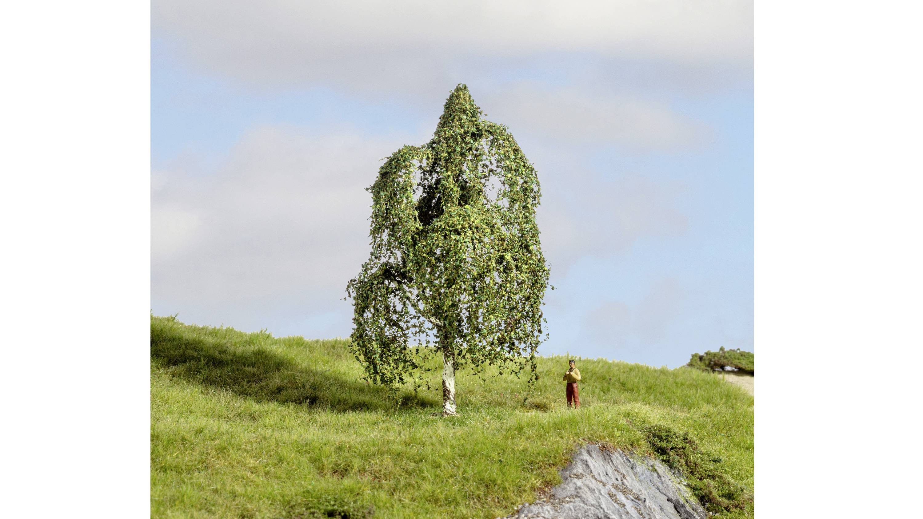 A single tree on a grassy hill beneath a blue sky. In the background, a person stands, appearing small in comparison to the tree.