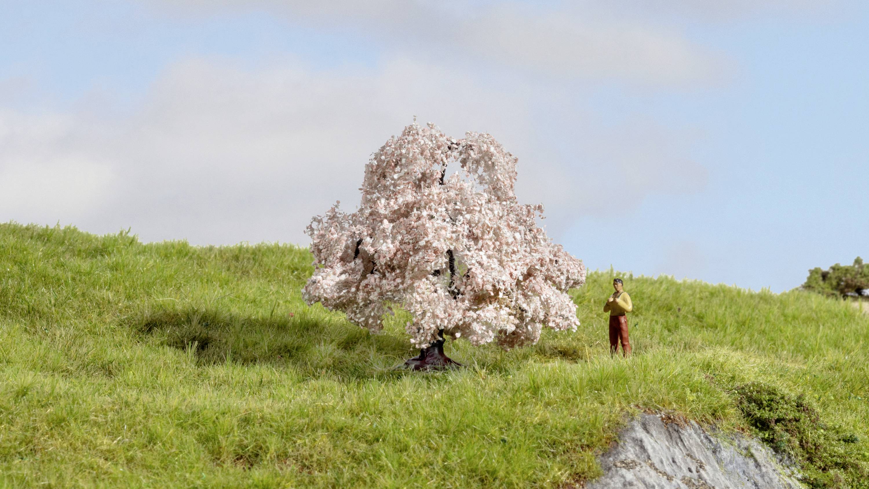 A model stands beside a blossoming cherry tree on a verdant meadow, under a blue sky with a few clouds.