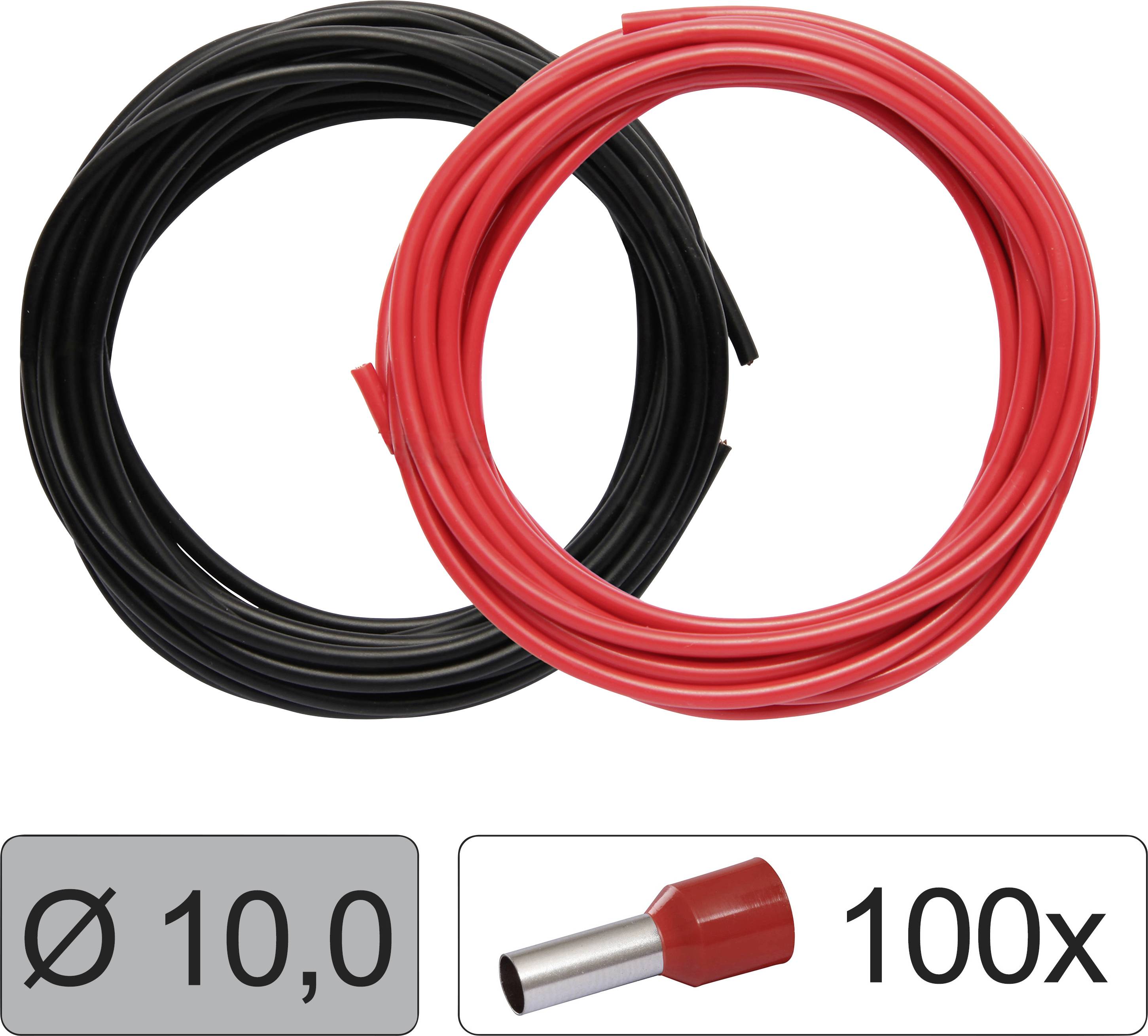 Two cable bundles, one black, one red. Below, an illustration of a plug with the labels 'Ø 10.0' and '100x'.
