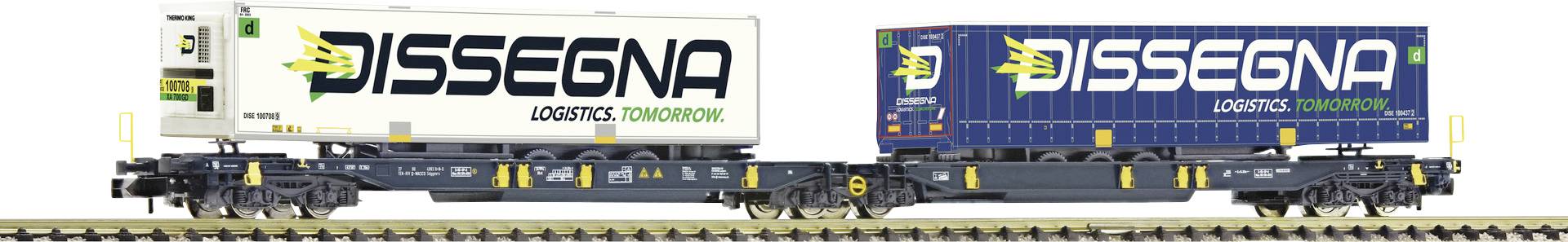 Two railway wagons are transporting containers labelled 'DISSEGNA'. One container is white, the other blue.