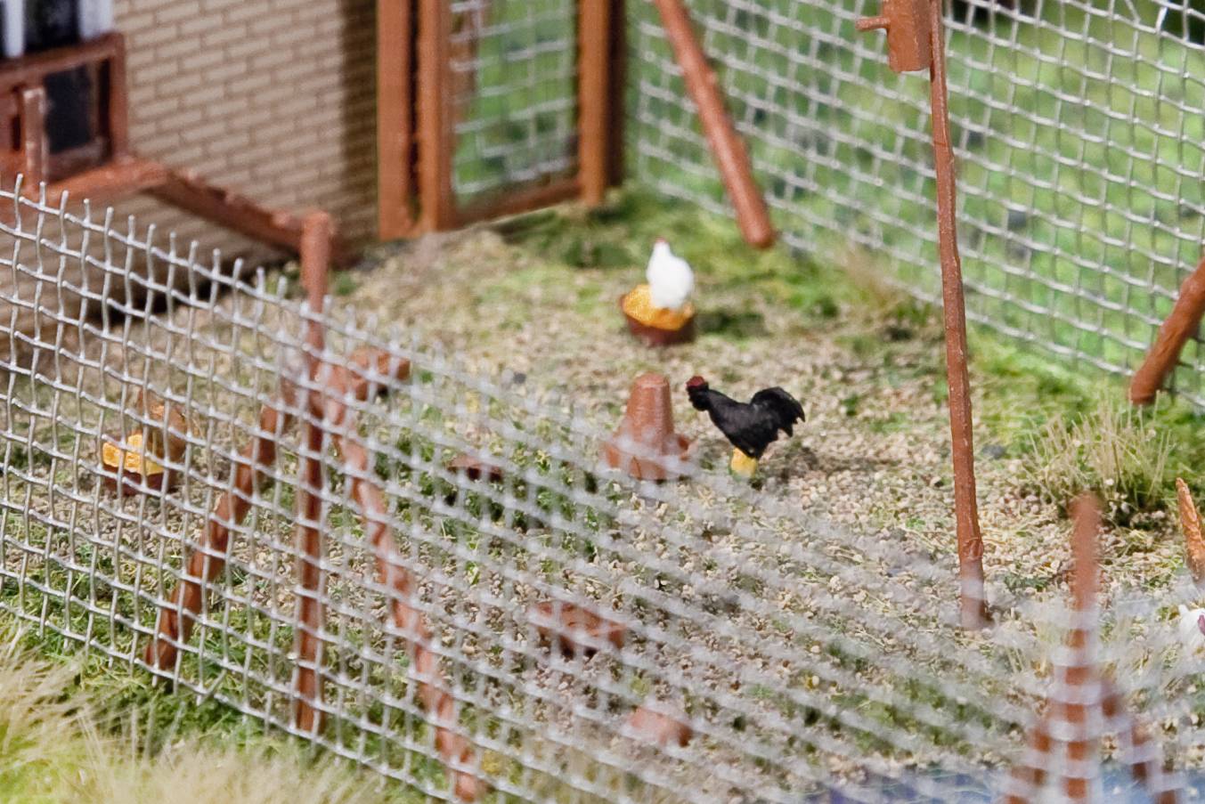 Chicken coop with several chickens. One is black with a red comb, the others are white. Surrounded by wire fence on grass.