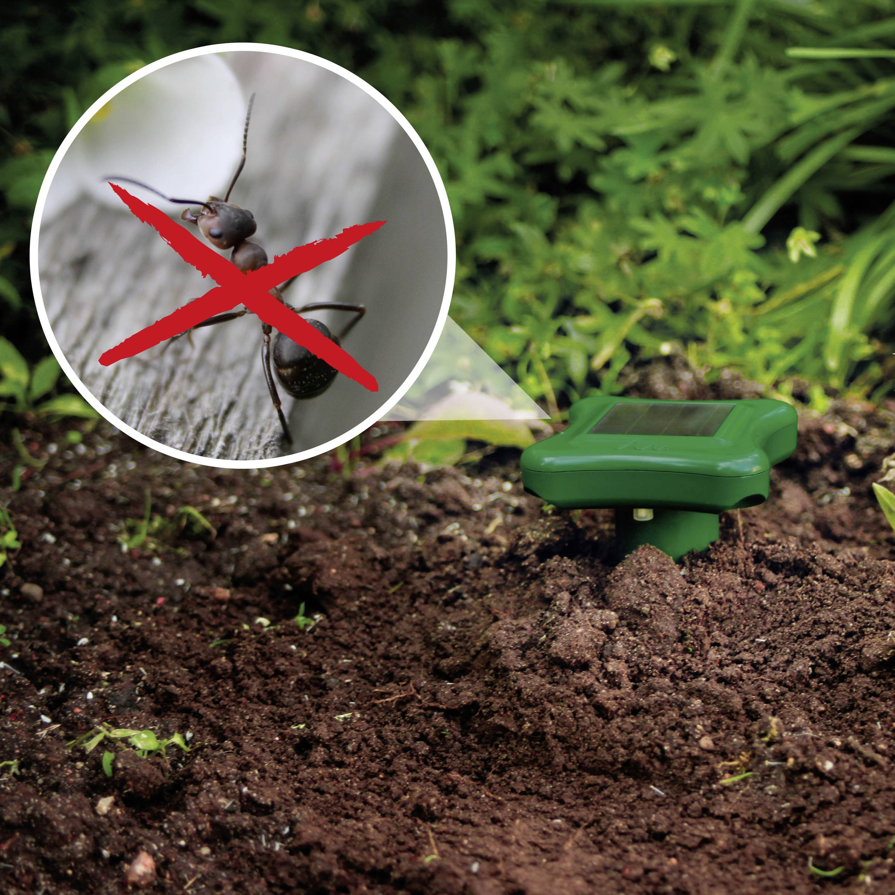 An insect repellent device is installed in a garden bed. An enlarged image of an ant is crossed out with a red X.