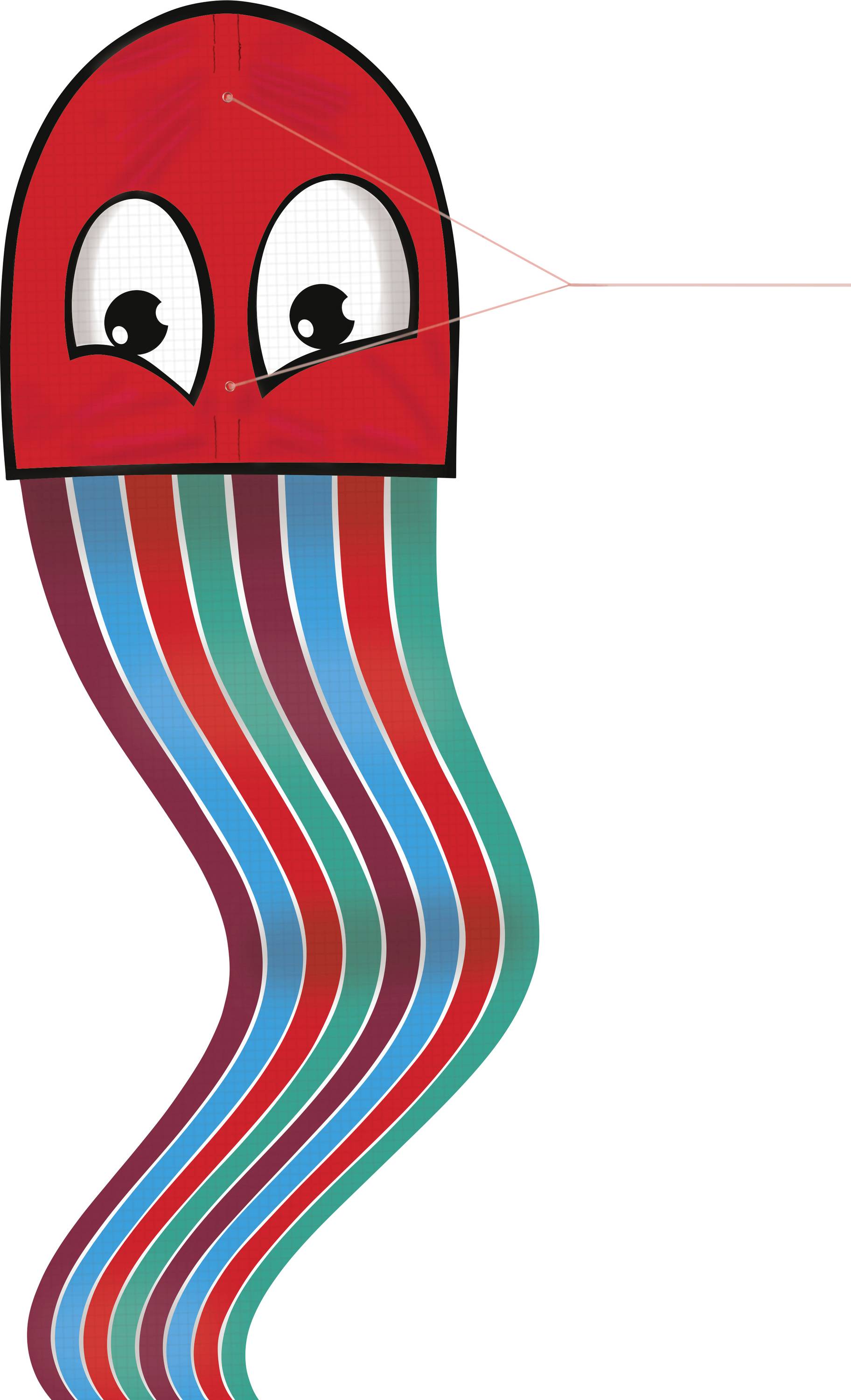 Günther Flugspiele Single line Kite Octopus Wingspan (details) 330 mm