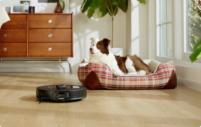 A dog is lying relaxed in a chequered dog bed. A robotic vacuum cleaner is cleaning the wooden floor of a bright living room with plants.