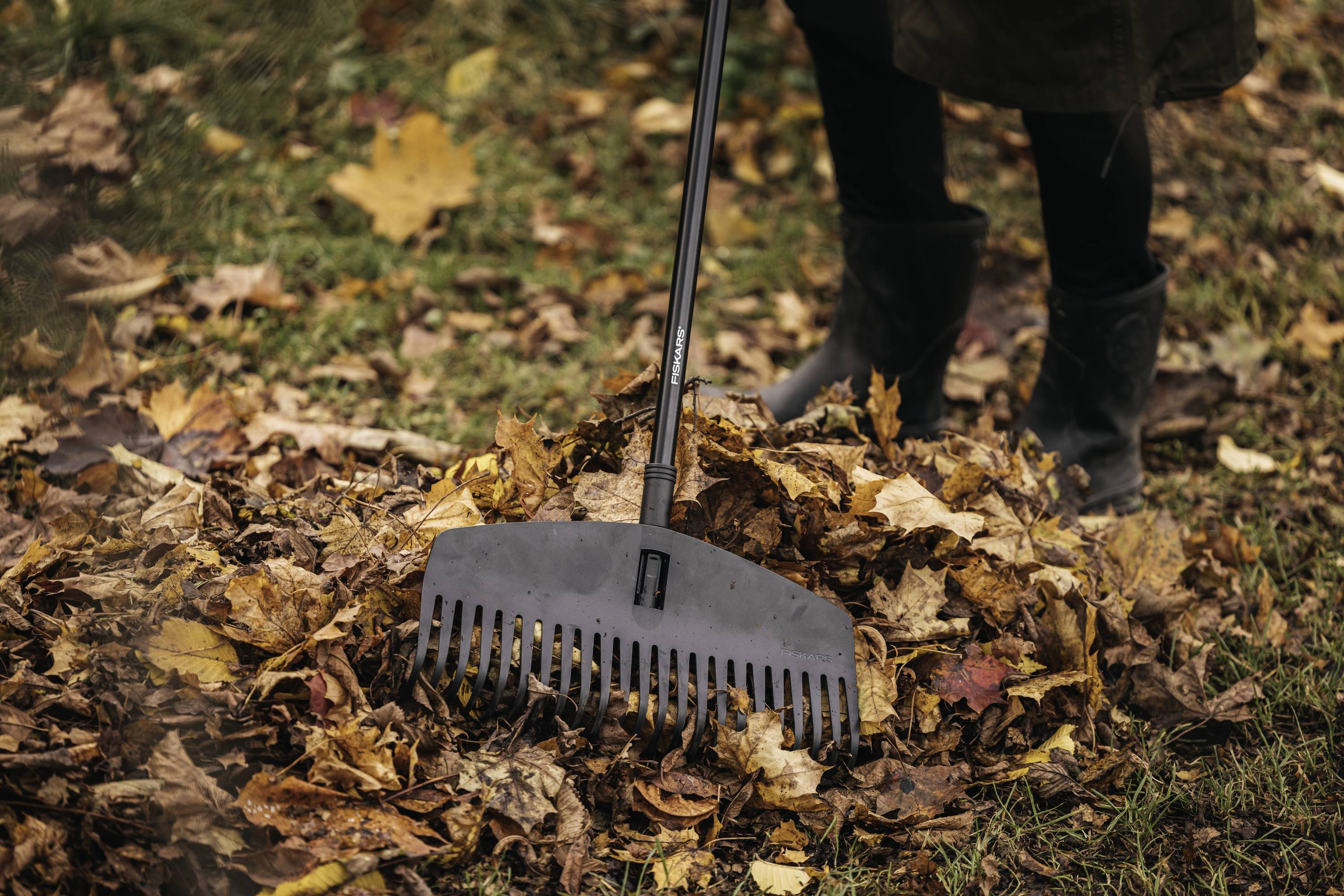 A person is standing on a lawn and using a rake to gather fallen autumn leaves.