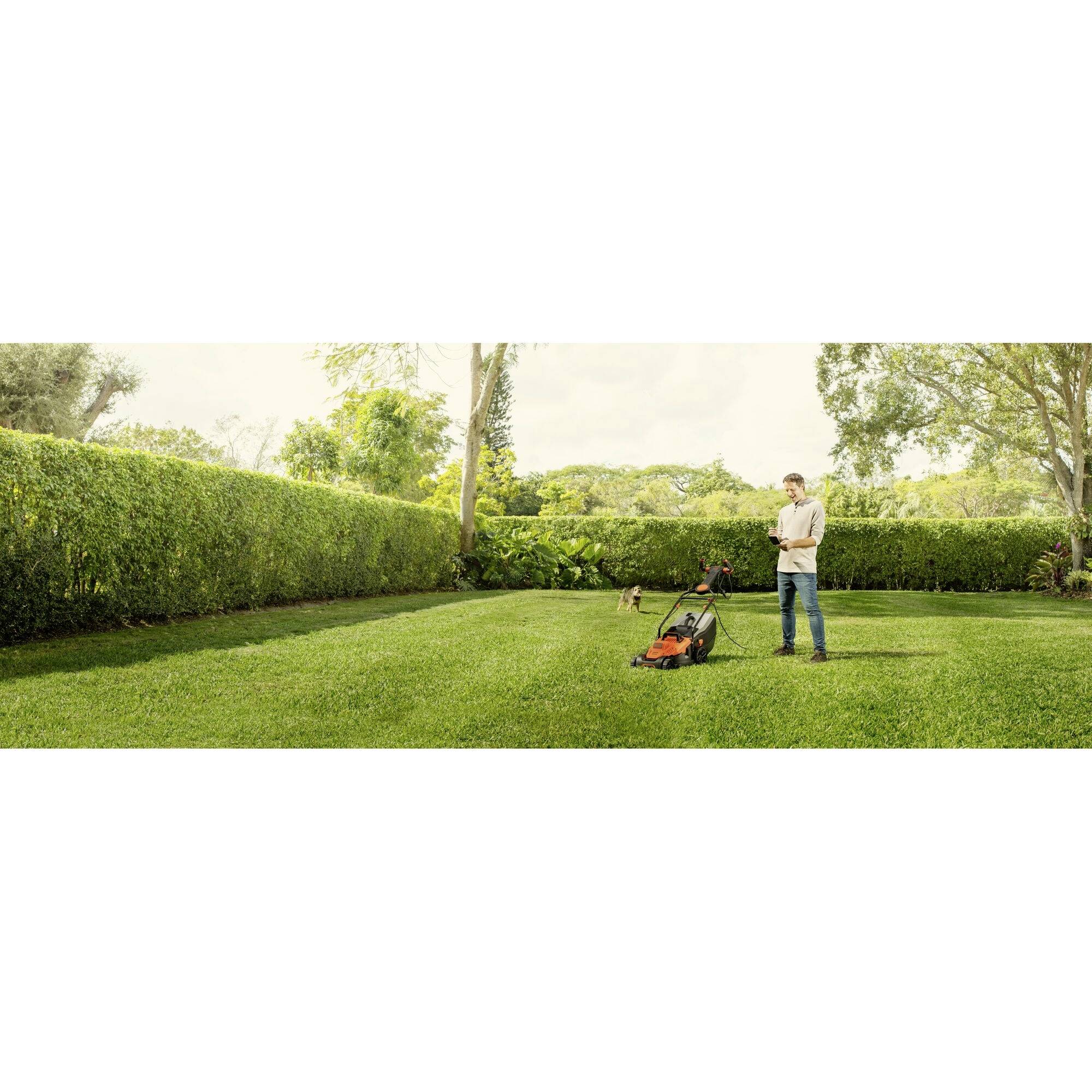 Black & Decker Mains Lawn mower + cutting height adjustment, Height-adjustable folding handle 1800 W Cutting width (max.) 42 cm