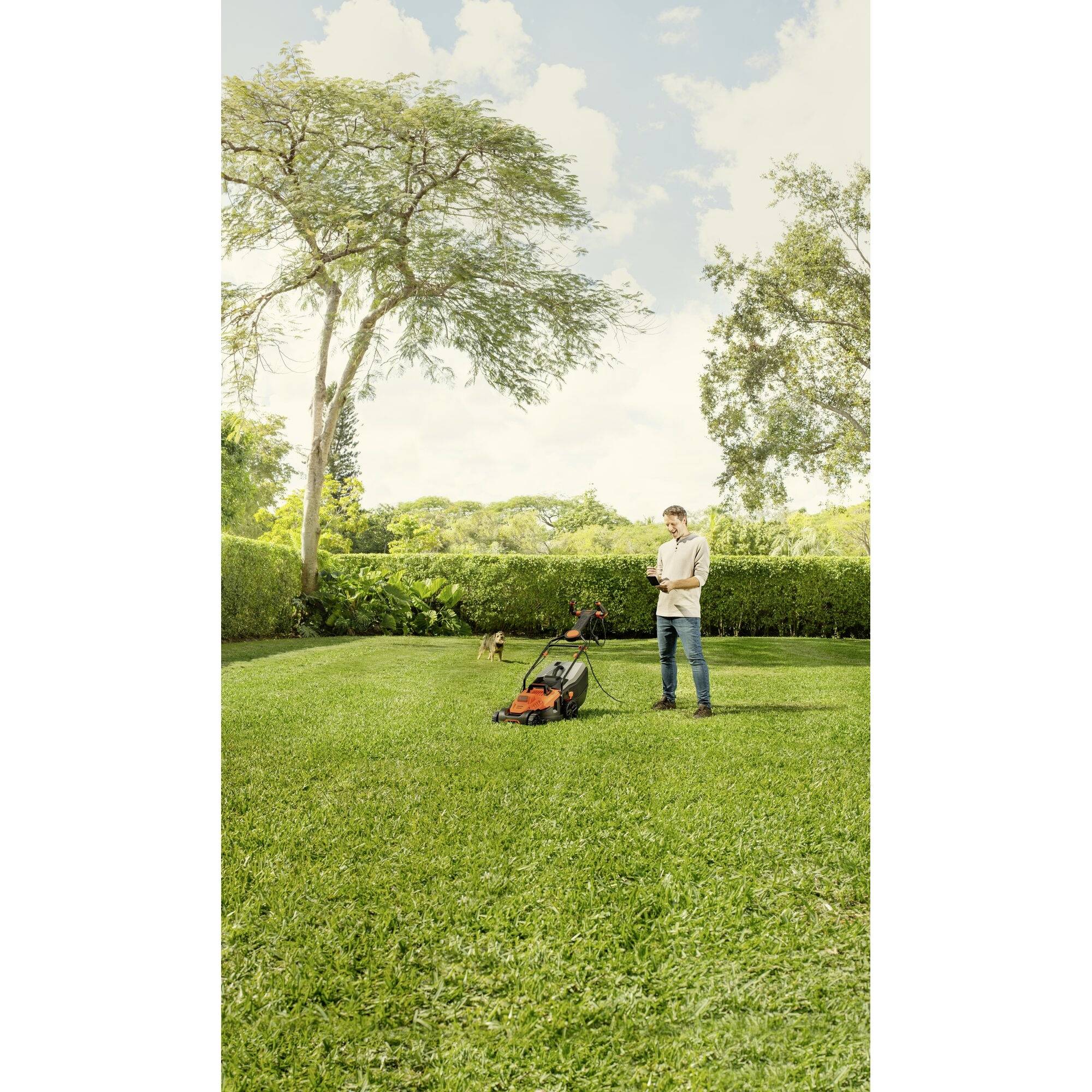 Black & Decker Mains Lawn mower + cutting height adjustment, Height-adjustable folding handle 1800 W Cutting width (max.) 42 cm