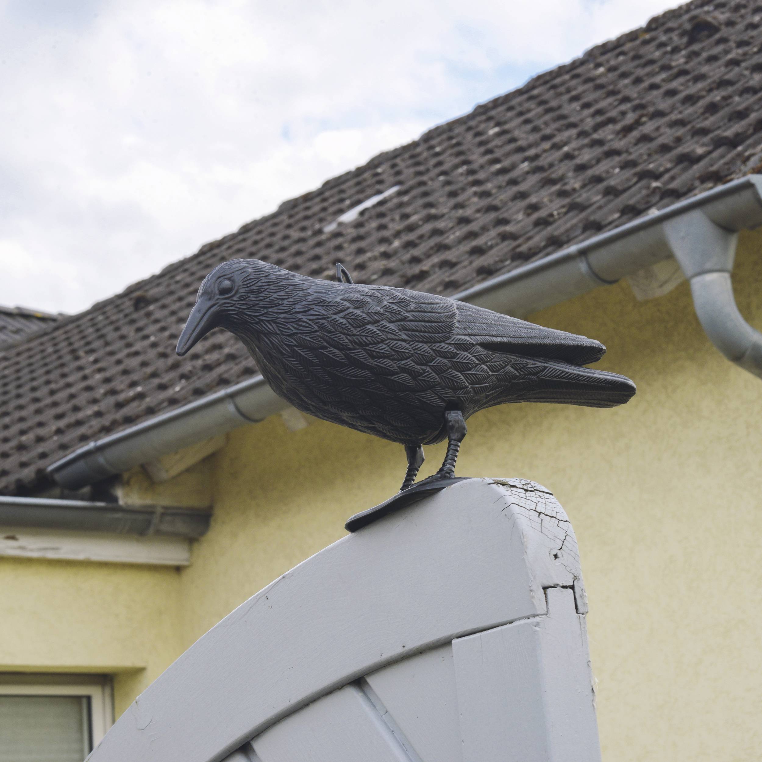 Gardigo Raven pigeon scarer Working principle Deterrent 1 pc(s)