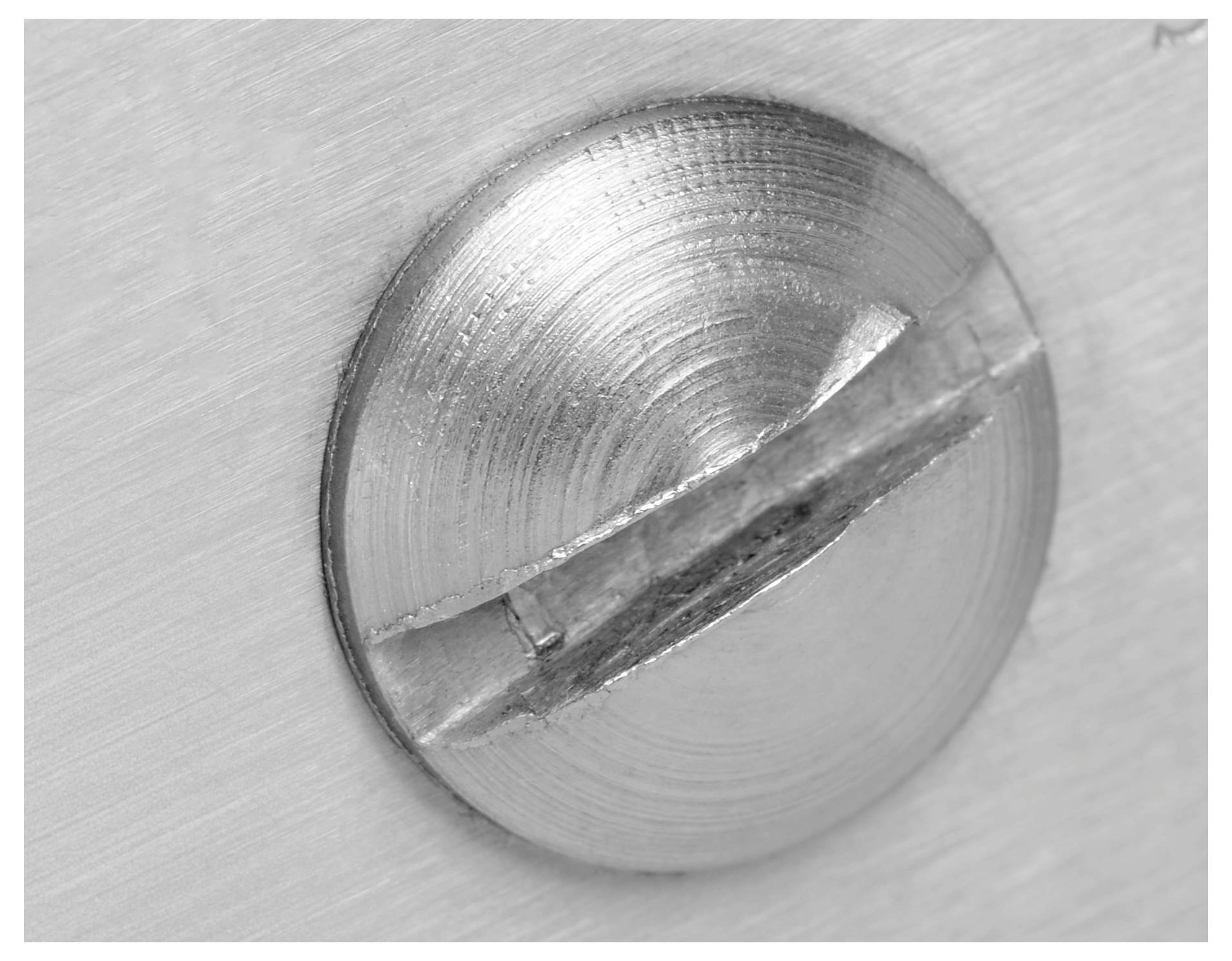 Close-up of a shiny metal screw head embedded in a surface, showing a single horizontal slot for a flathead screwdriver.