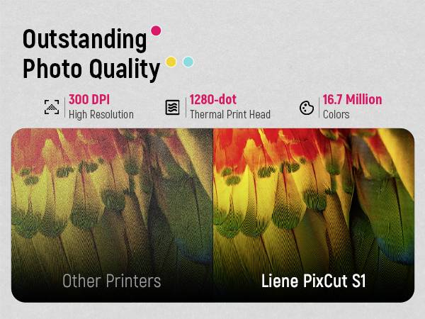 Liene Photo printer Print resolution: 300 x 300 dpi