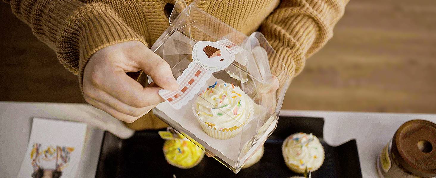 Liene Photo printer Print resolution: 300 x 300 dpi