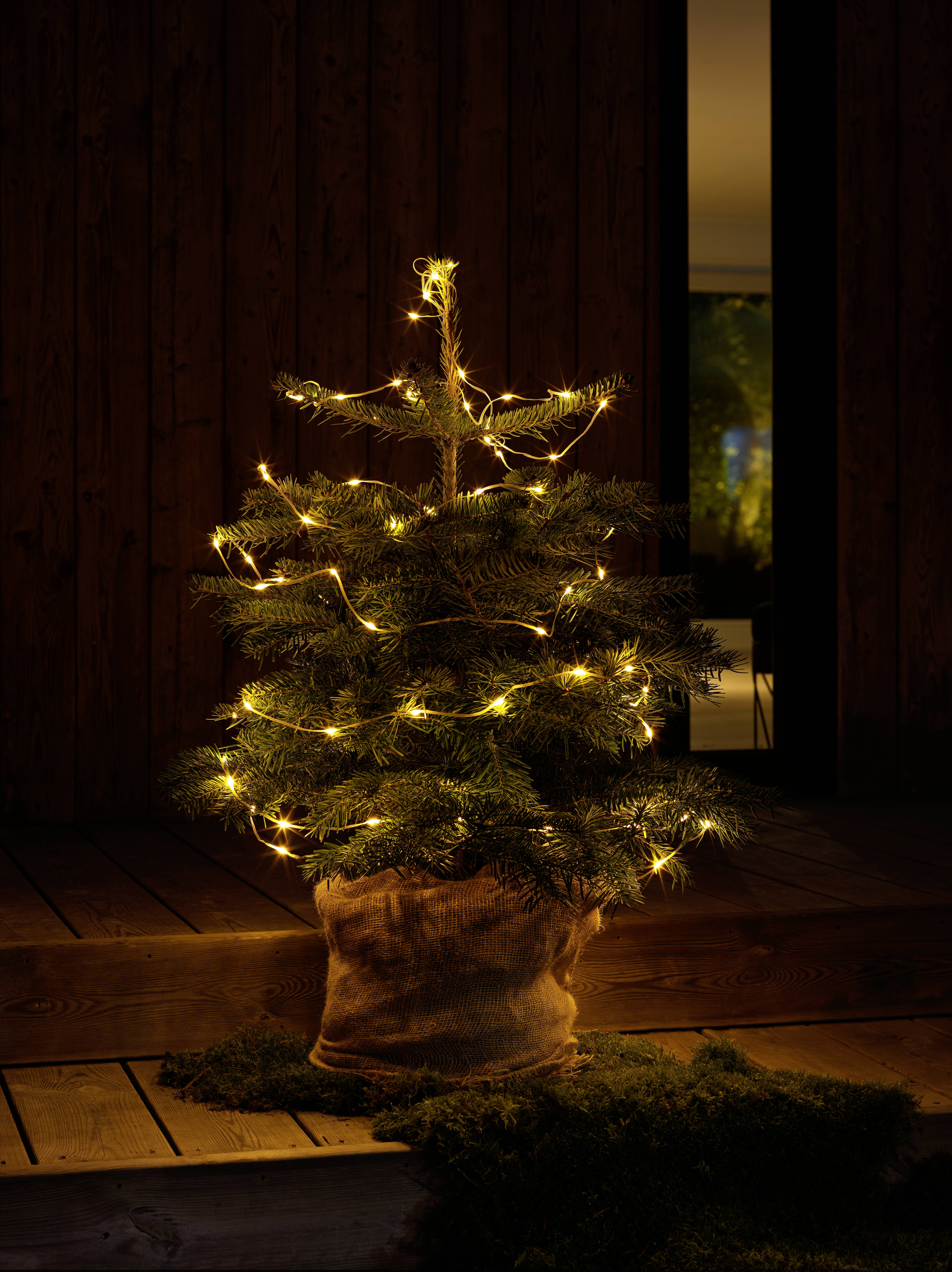 A small, decorated Christmas tree with lights stands on a wooden porch, creating a warm, festive atmosphere at night.