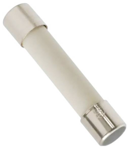 A small cylindrical ceramic fuse with metal ends, used for electrical circuit protection.