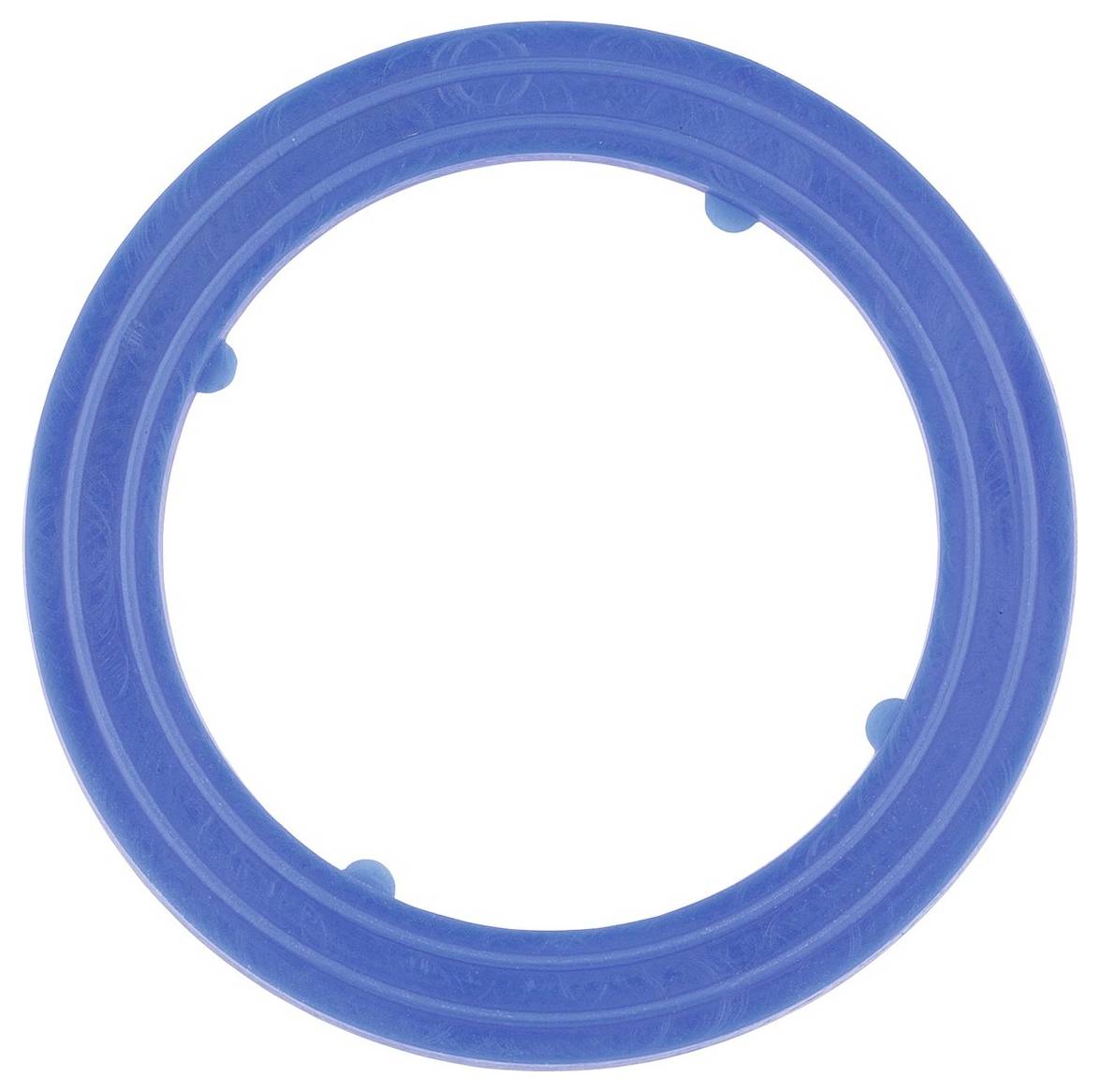 A blue circular plastic ring with small protrusions along the inner edge, often used as a frisbee-like toy for pets.