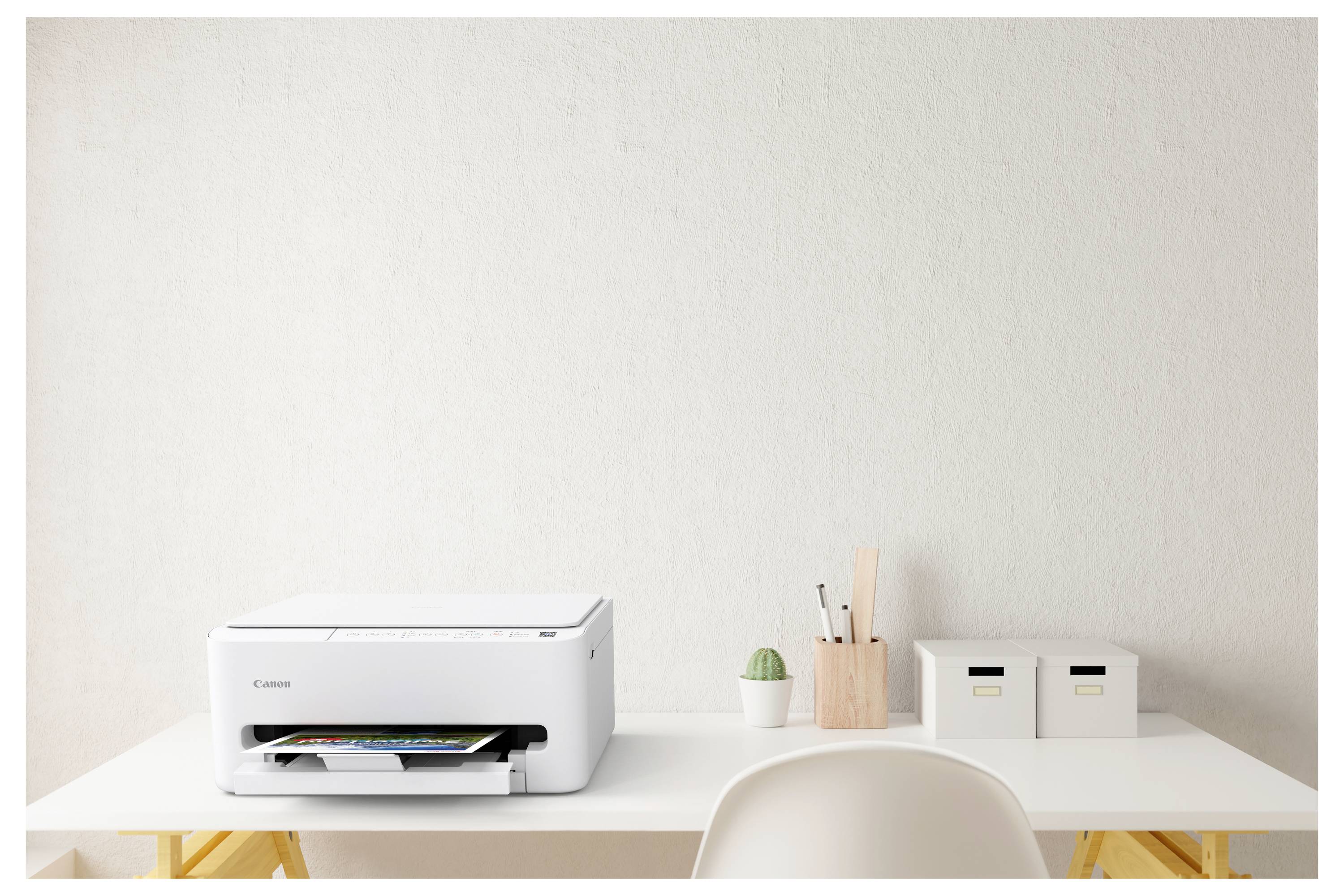 A minimalist office desk with a white printer, small plant, and two storage boxes. The wall in the background is light-colored and plain.